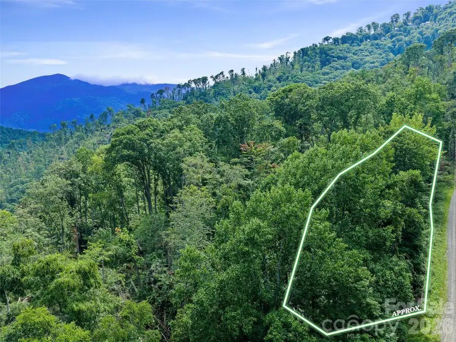 000 Winterberry Road #25, Burnsville, NC 28714 - #2