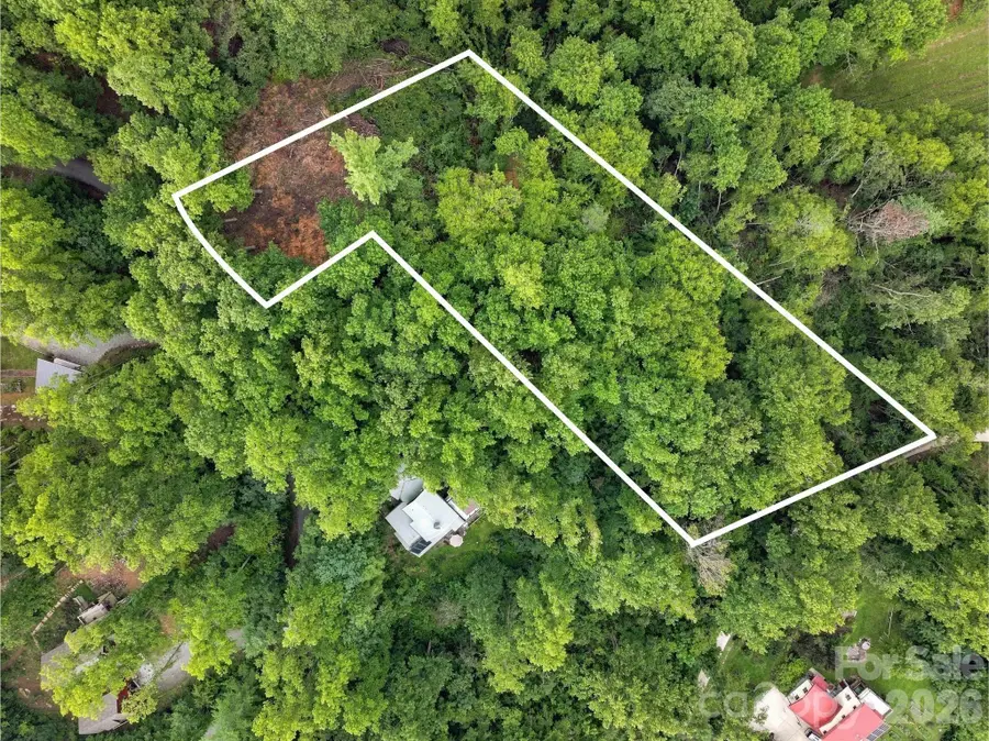 193 Fern Cove Lane, Gerton, NC 28735 - #2