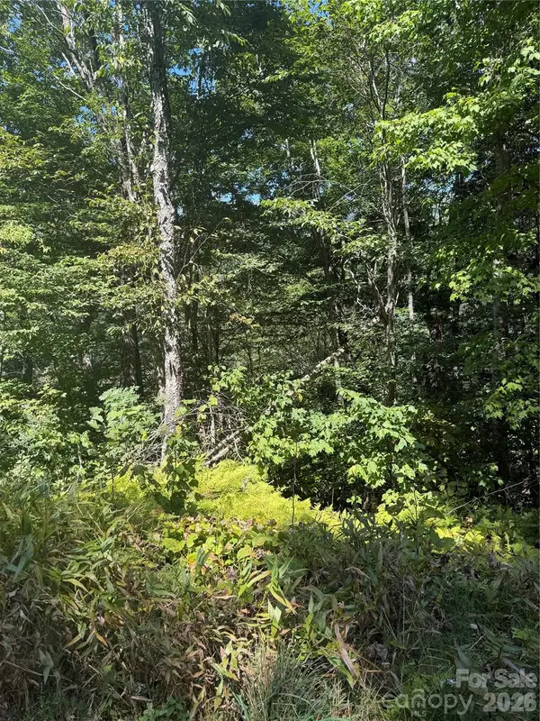 110 Chestnut Lane, Mars Hill, NC 28754