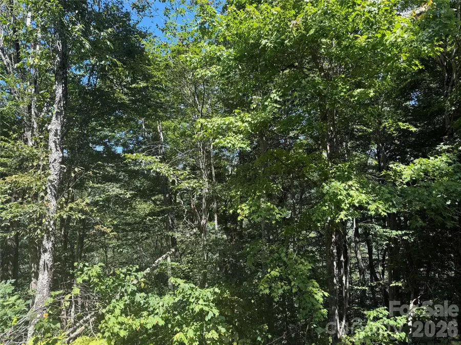 110 Chestnut Lane, Mars Hill, NC 28754 - #3