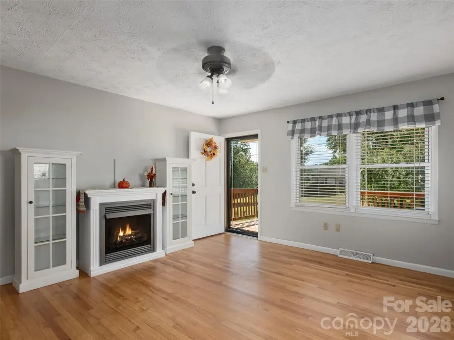 403 Lower Grassy Branch Road, Asheville, NC 28805 - #3