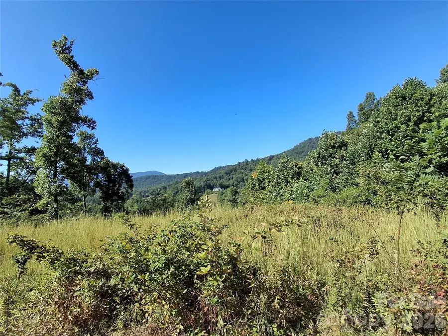 1 River Crest, Burnsville, NC 28714 - #3