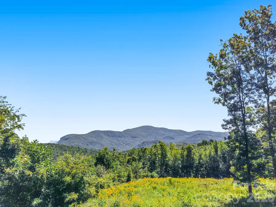 1227 Grand Oaks Drive #42, Hendersonville, NC 28792 - #3