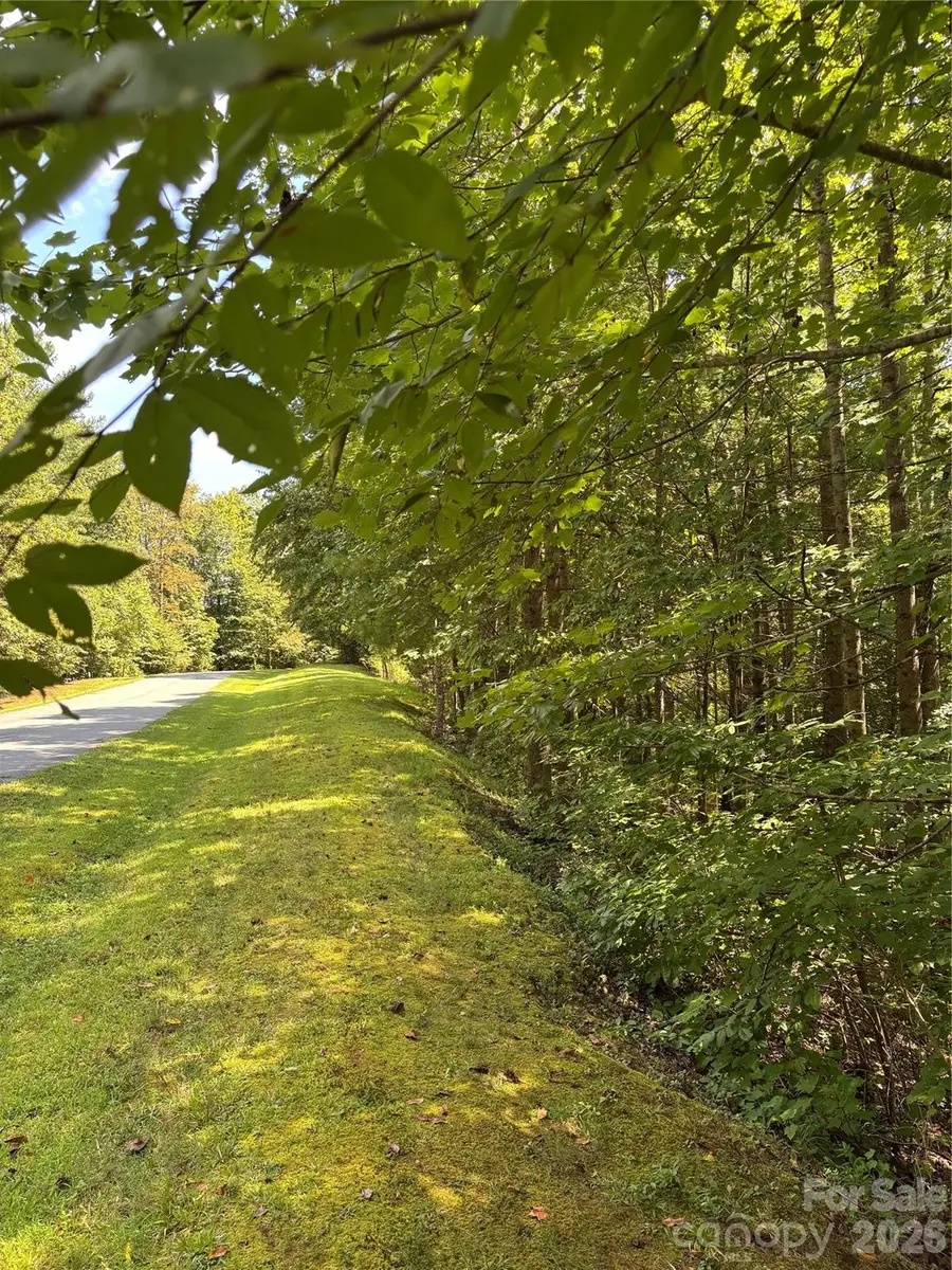 Lot 14 Walnut Ridge Drive #14, Lenoir, NC 28645 - #2