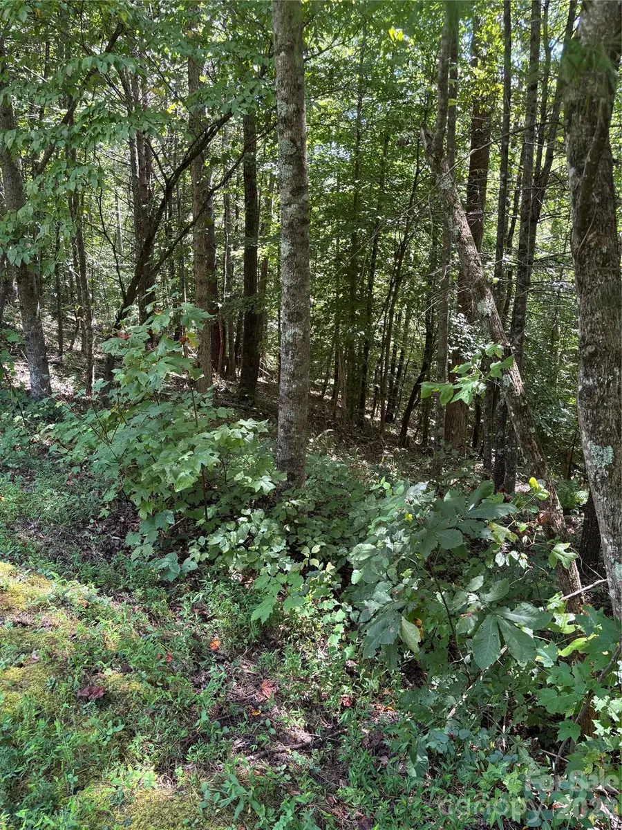 Lot 14 Walnut Ridge Drive #14, Lenoir, NC 28645 - #3