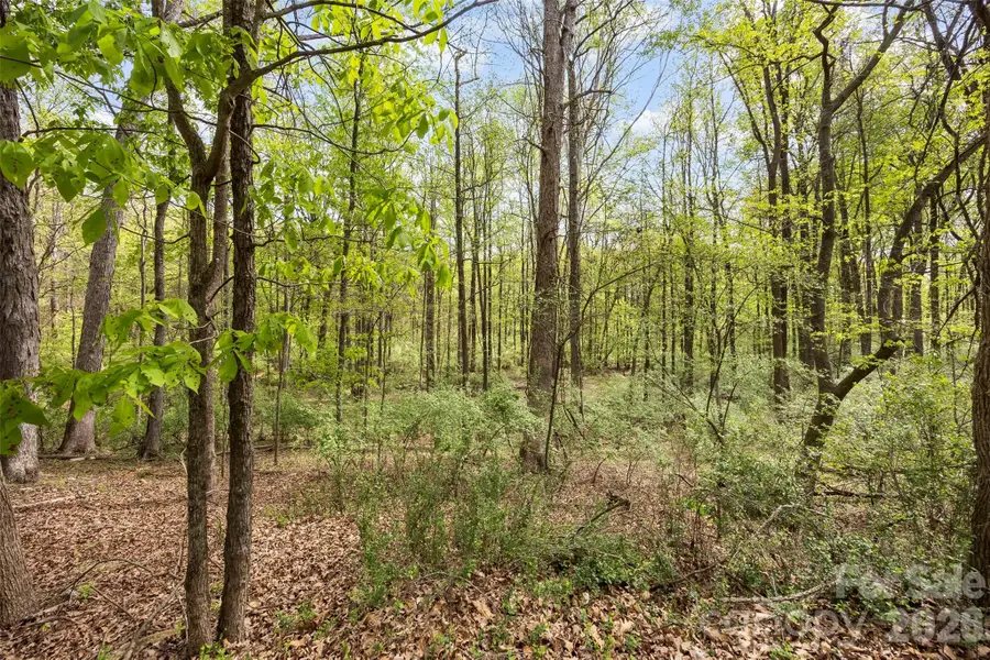 10601 Wildlife Road, Charlotte, NC 28278 - #3