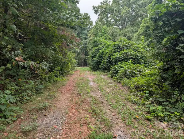 00 Pea Ridge Road, Mill Spring, NC 28756