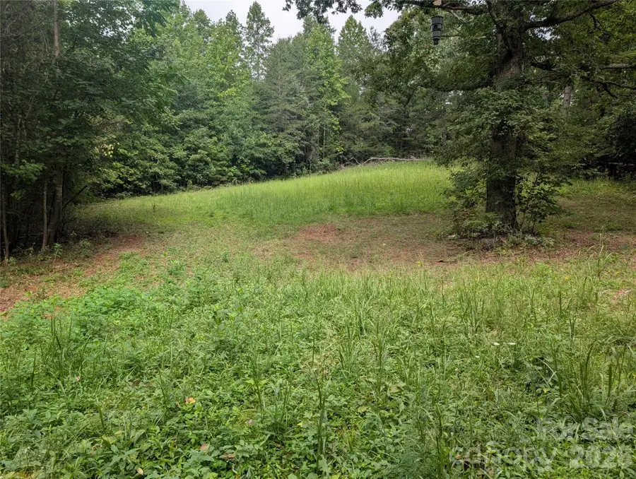 00 Pea Ridge Road, Mill Spring, NC 28756 - #2