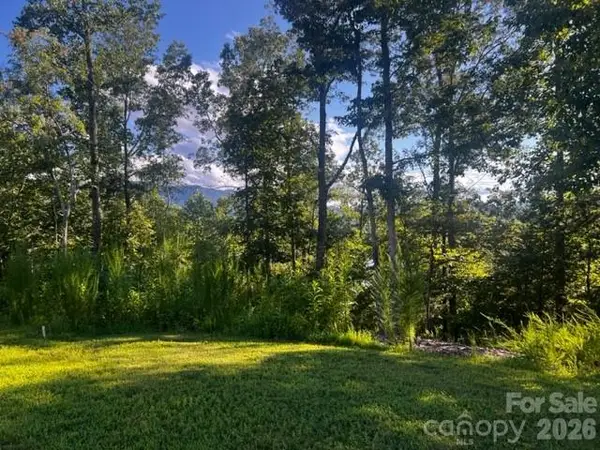 23 Mountain Parkway, Mill Spring, NC 28756