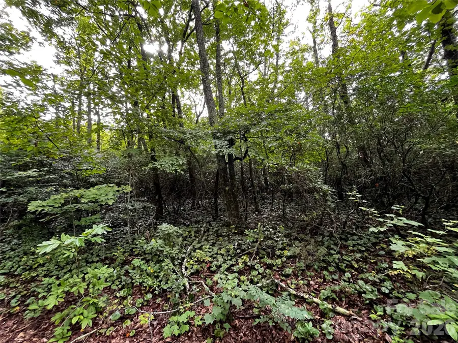 462 Autumn Forest Drive, Gerton, NC 28735 - #2