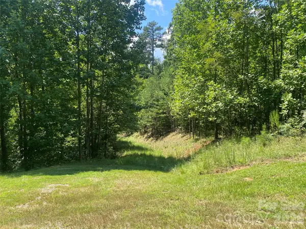 0000 Rock Ledge Drive, Lake Lure, NC 28746