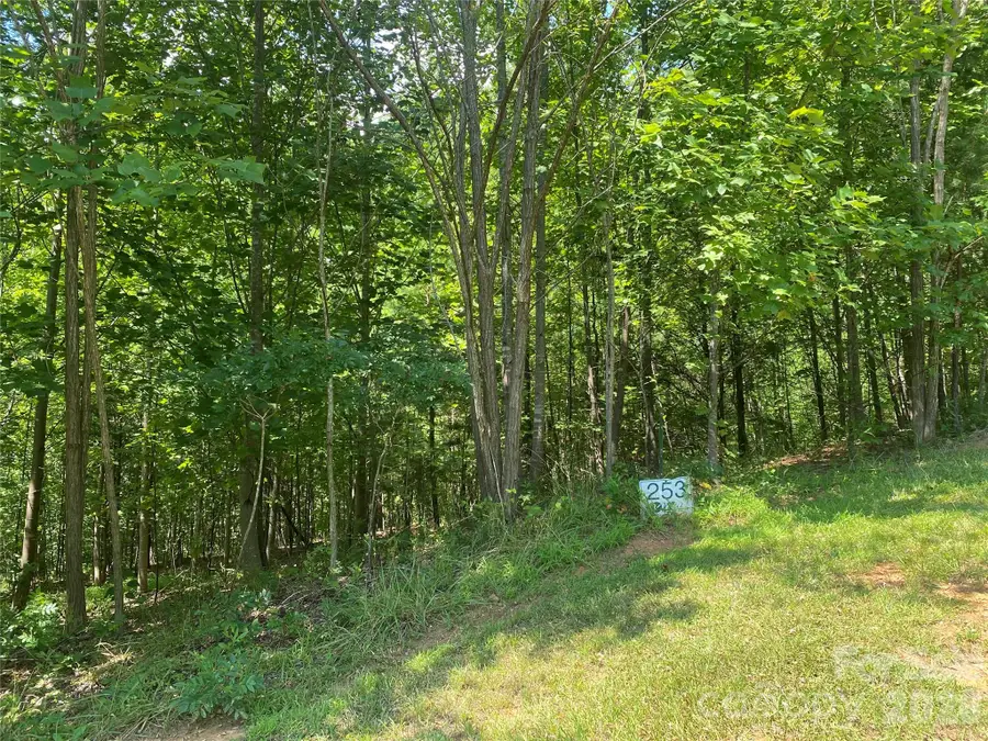 0000 Rock Ledge Drive, Lake Lure, NC 28746 - #2