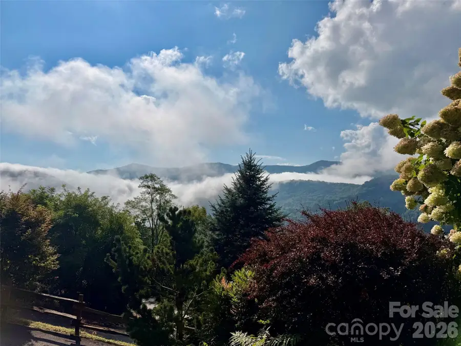 10 Cougar Lane, Maggie Valley, NC 28751 - #3