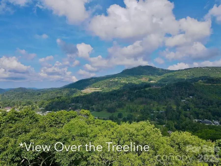TBD Galax Lane #45, Banner Elk, NC 28604 - #3