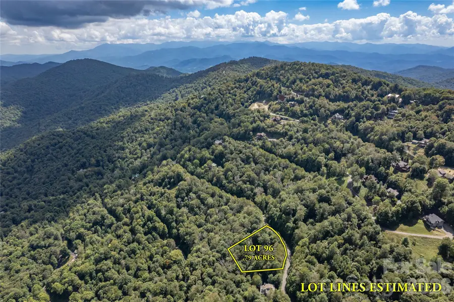 96 Goldenleaf Road, Mars Hill, NC 28754 - #2