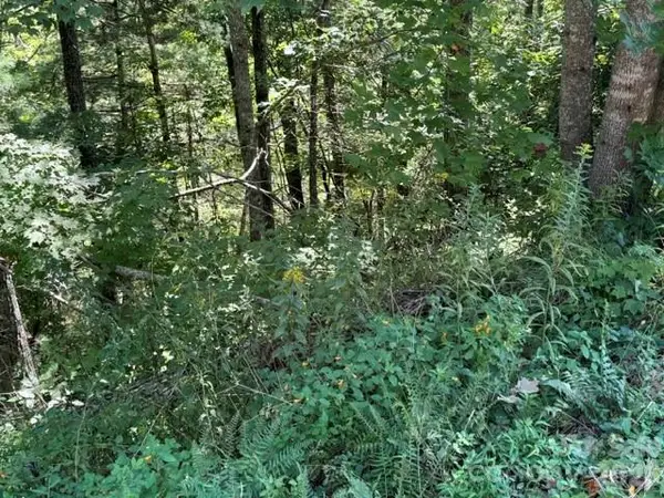 TBD Jarvis Drive, Hendersonville, NC 28792