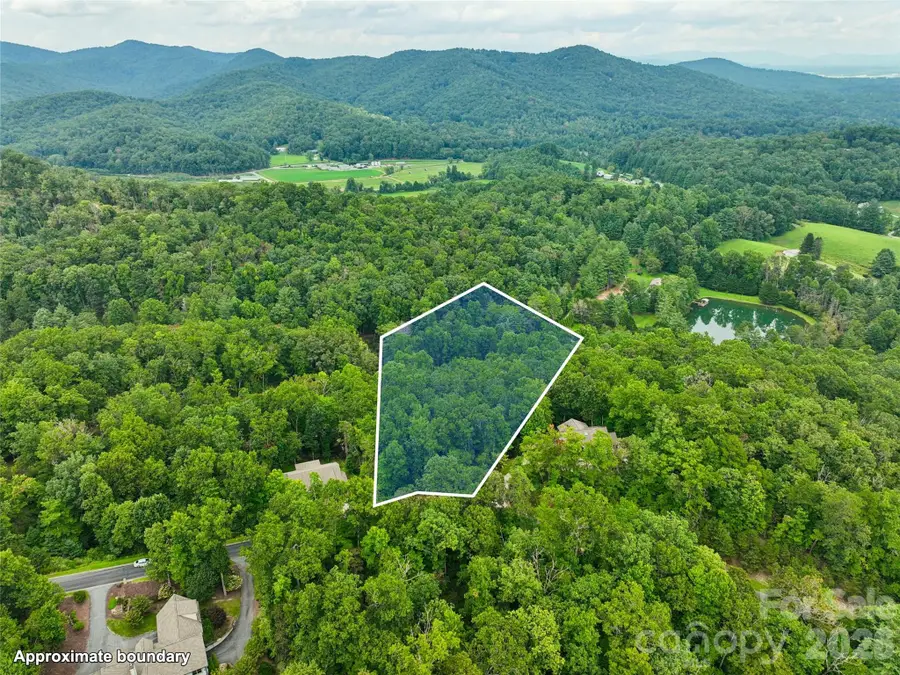 230 Shining Rock Path #64, Horse Shoe, NC 28742 - #2