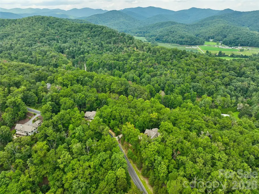 230 Shining Rock Path #64, Horse Shoe, NC 28742 - #3