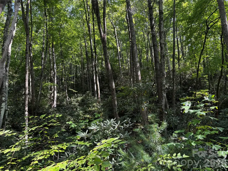 00 Burnette Reeves Road, Leicester, NC 28748 - #2