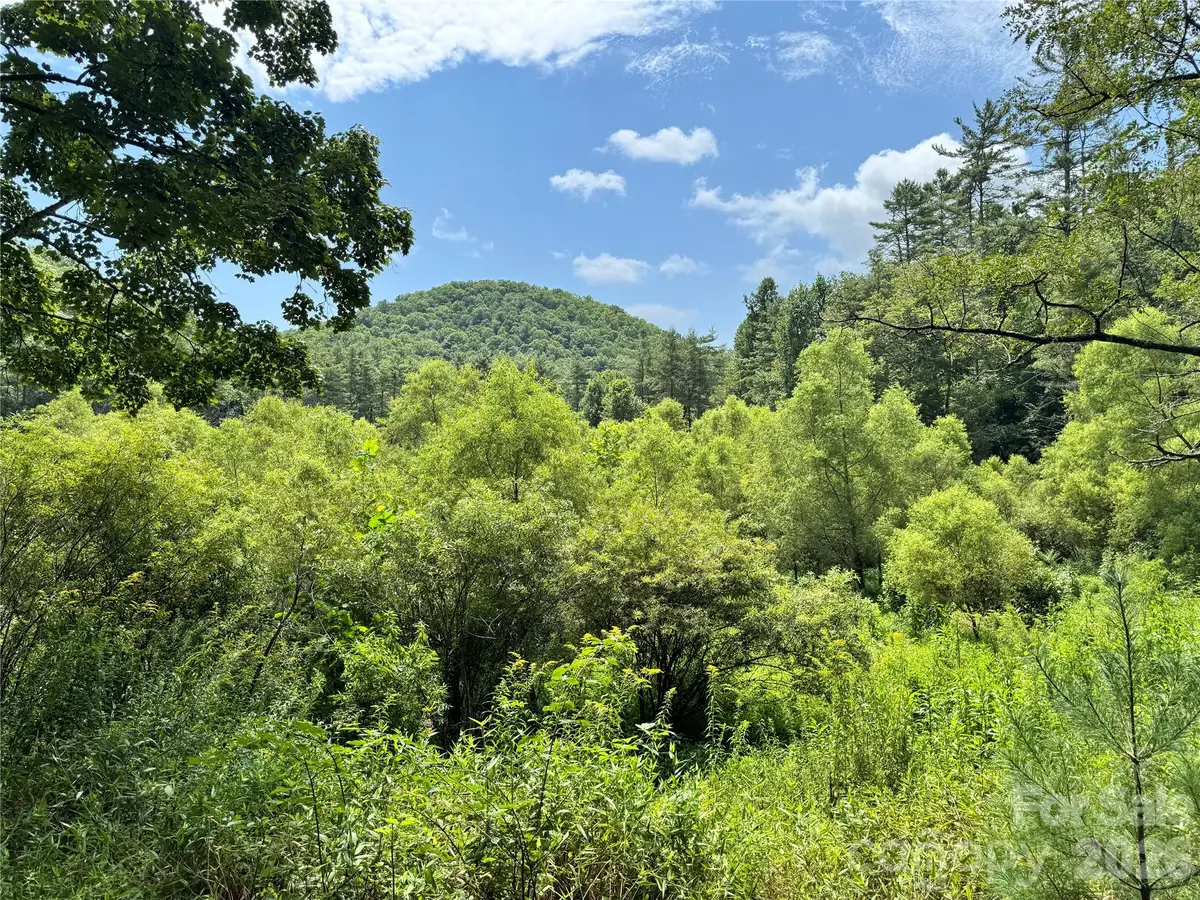361 Rooster Cove, Brevard, NC 28712 - #1