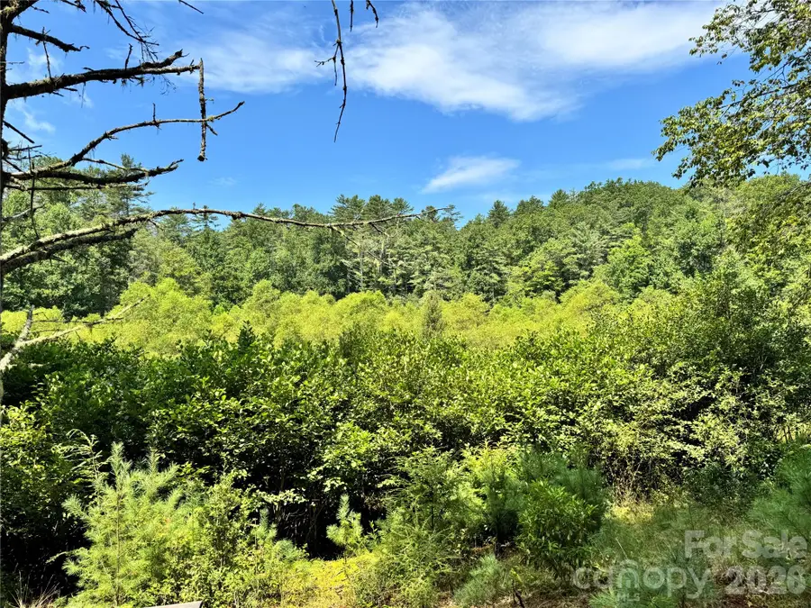 361 Rooster Cove, Brevard, NC 28712 - #2