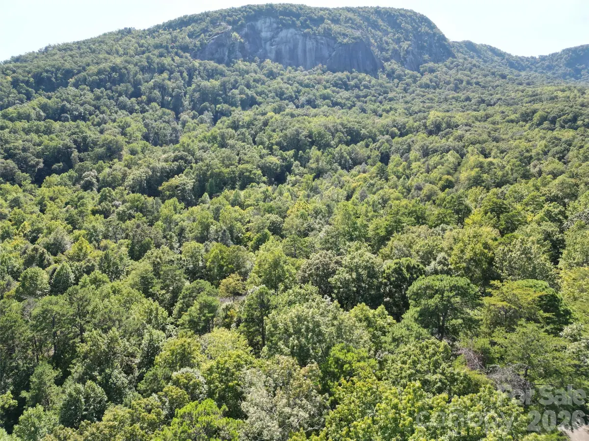 Lot 124, 125, & 101 Banjo Court, Lake Lure, NC 28746 - #1
