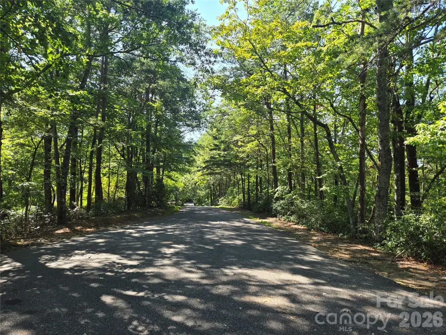 Lot 124, 125, & 101 Banjo Court, Lake Lure, NC 28746 - #2