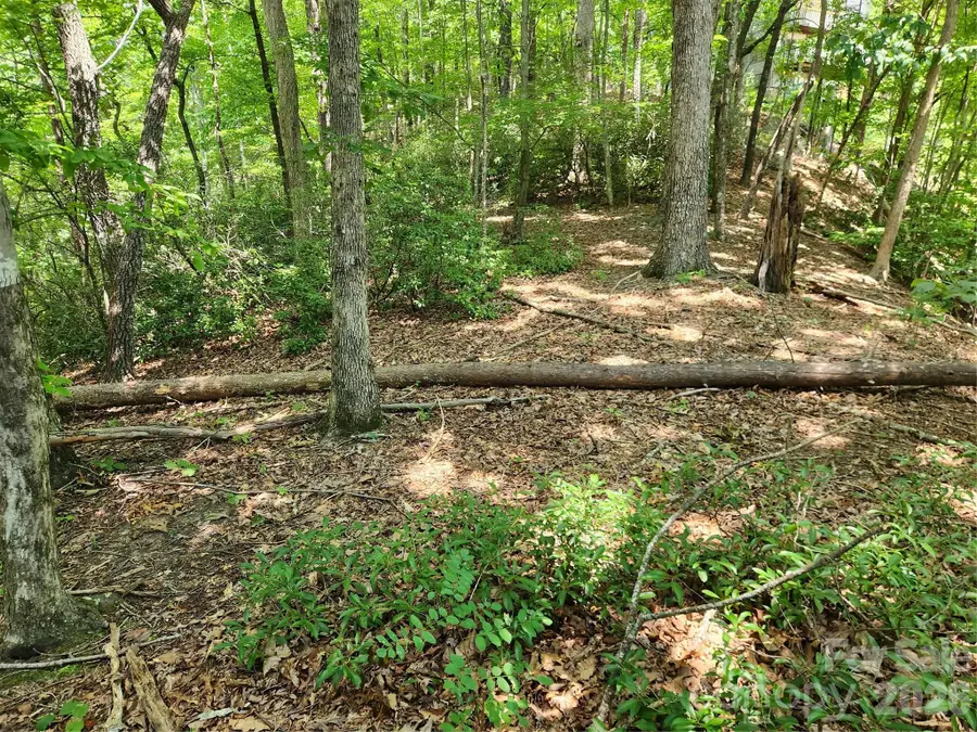 Lot 124, 125, & 101 Banjo Court, Lake Lure, NC 28746 - #3