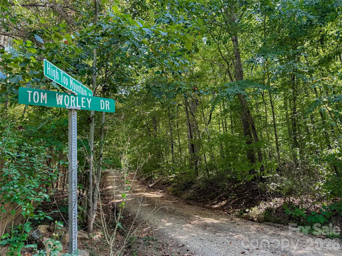 99999 High Top Mountain Road #Lot 1, Leicester, NC 28748 - #1