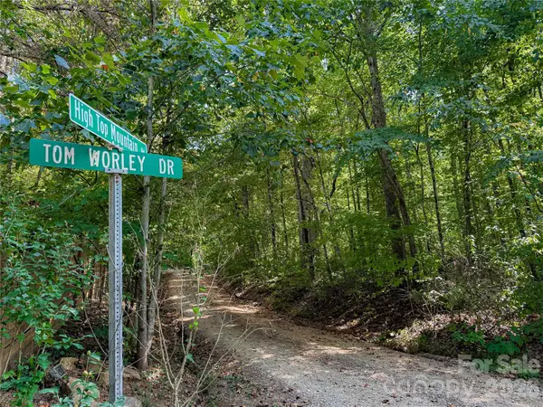 99999 High Top Mountain Road #Lot 1, Leicester, NC 28748