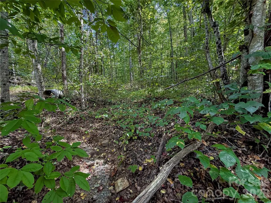 99999 High Top Mountain Road #Lot 1, Leicester, NC 28748 - #2