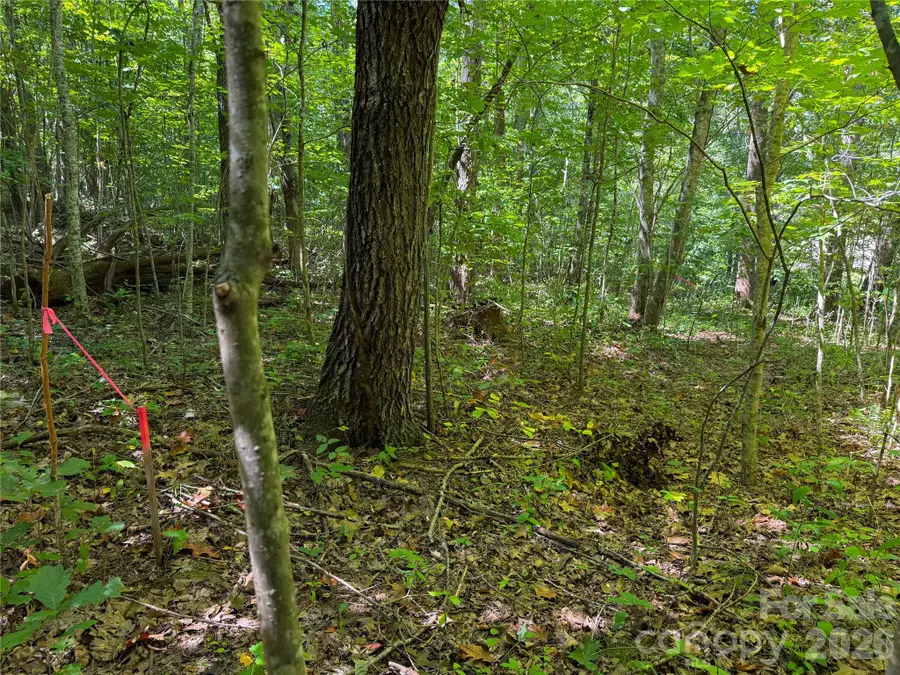 99999 High Top Mountain Road #Lot 1, Leicester, NC 28748 - #3