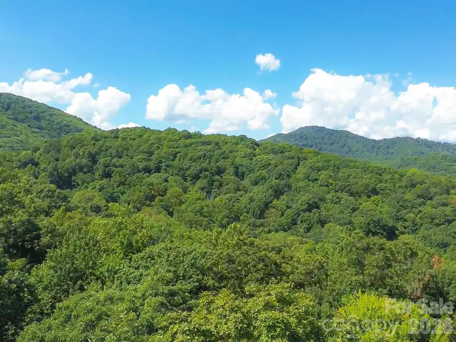 99999 High Top Mountain Road #Lot 2, Leicester, NC 28748 - #2