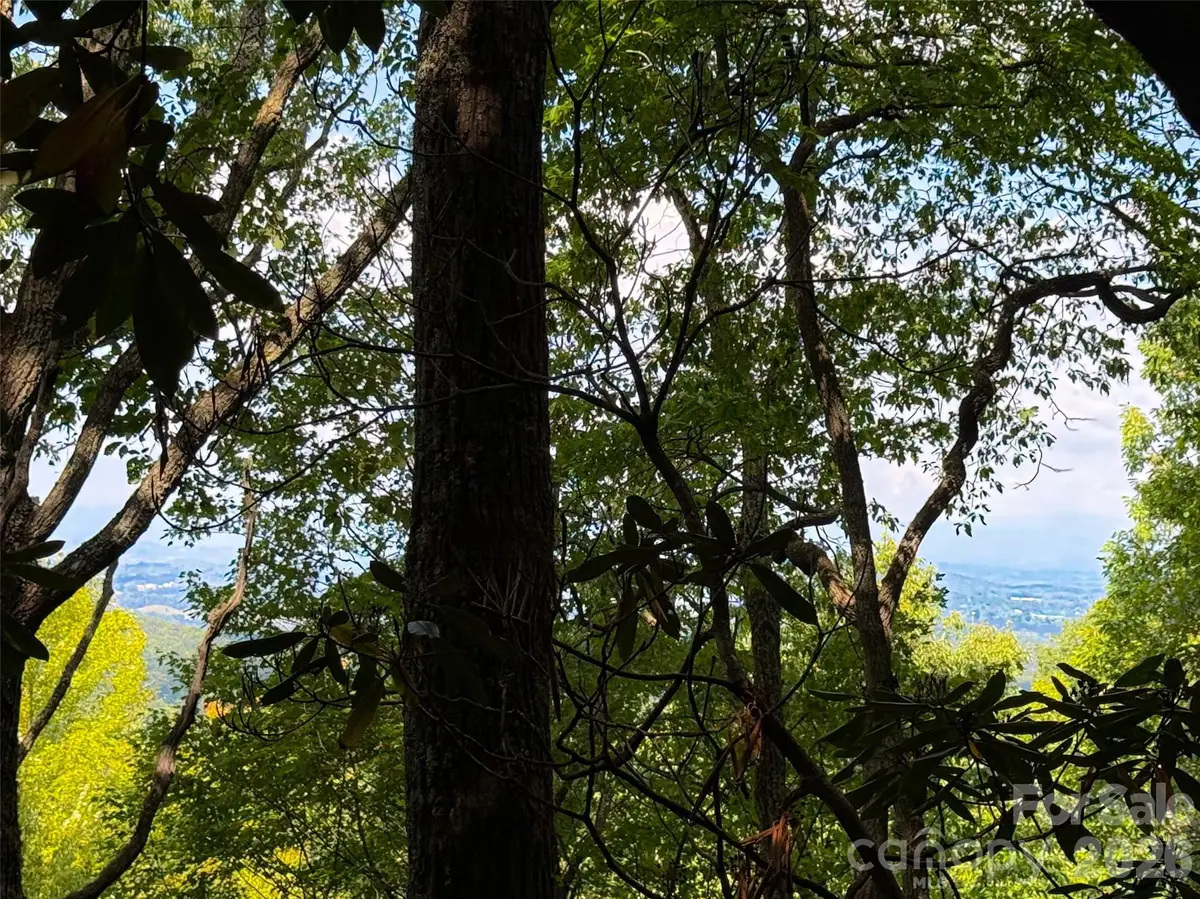 99999 High Top Mountain Road #Lot 3, Leicester, NC 28748 - #1
