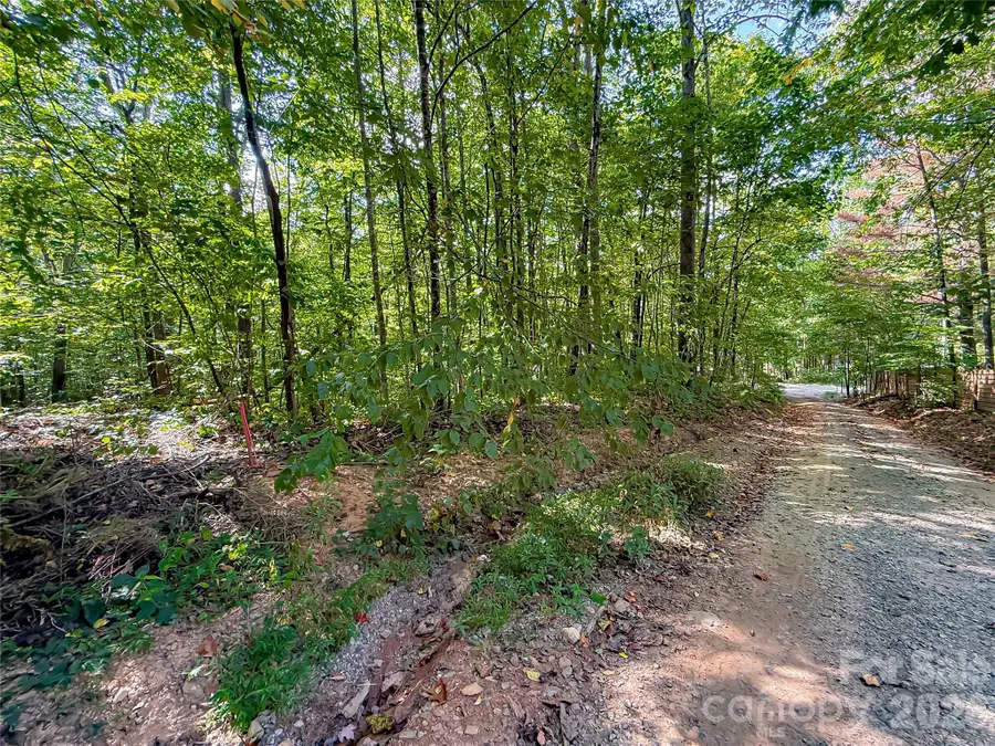 99999 High Top Mountain Road #Lot 3, Leicester, NC 28748 - #3