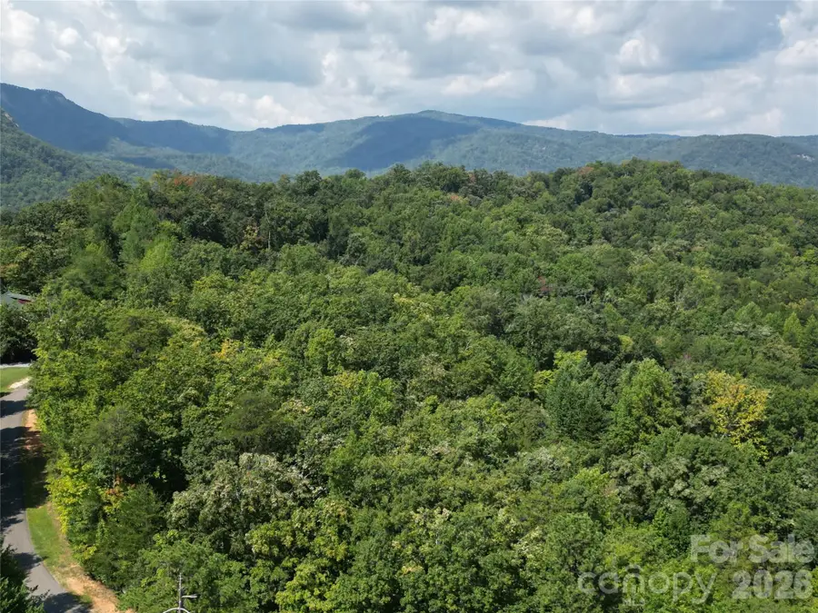 Lot 16 Highland Heights, Lake Lure, NC 28746 - #2