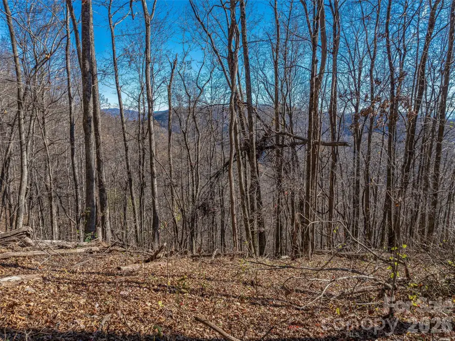 TBD Walnut Creek Road, Marshall, NC 28753 - #3