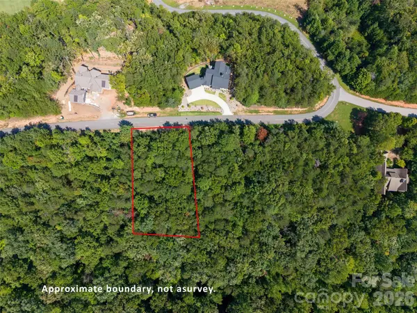 0 Deep Gap Farm Road W #2007, Mill Spring, NC 28756