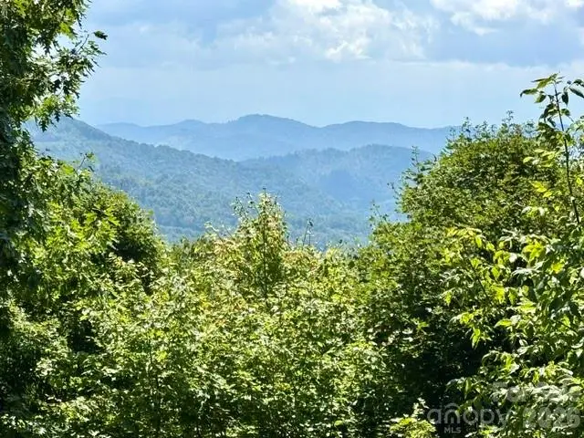459 Lookout Drive, Mars Hill, NC 28754 - #3