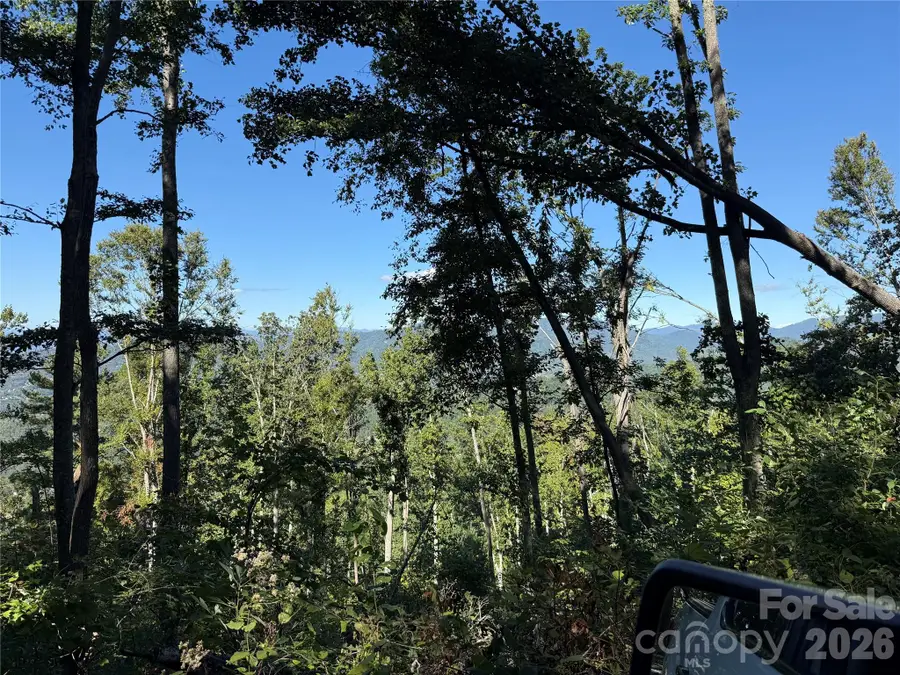 9999 Elk Ridge Drive #Parcel B, Asheville, NC 28804 - #2