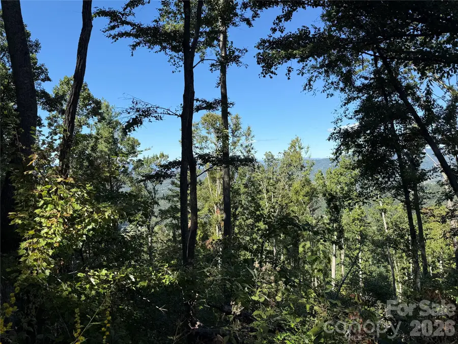 9999 Elk Ridge Drive #Parcel B, Asheville, NC 28804 - #3