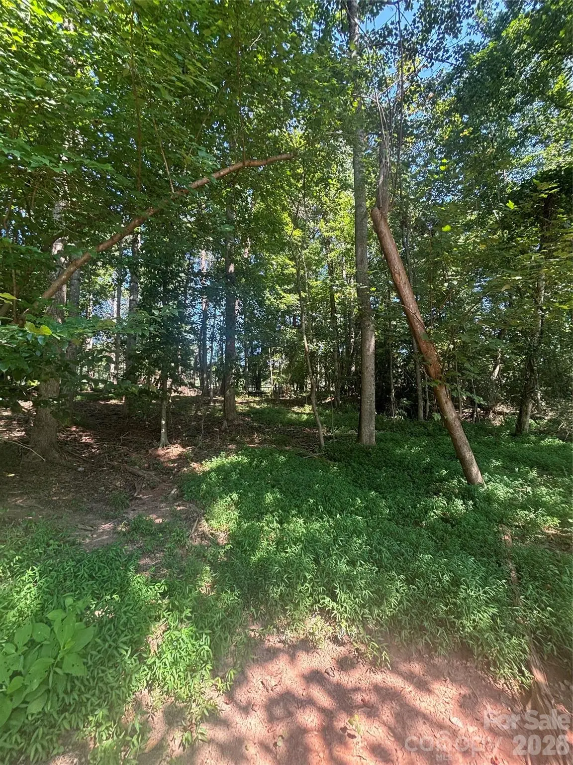 000 Pineview Court, Tryon, NC 28782 - #1