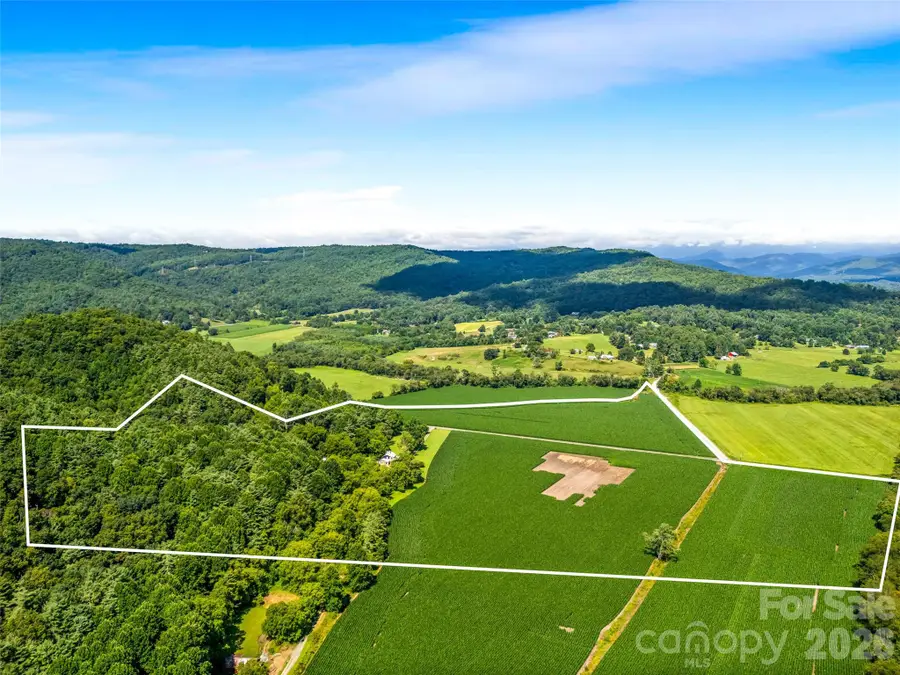 96 Merle Farm Lane, Pisgah Forest, NC 28768 - #2