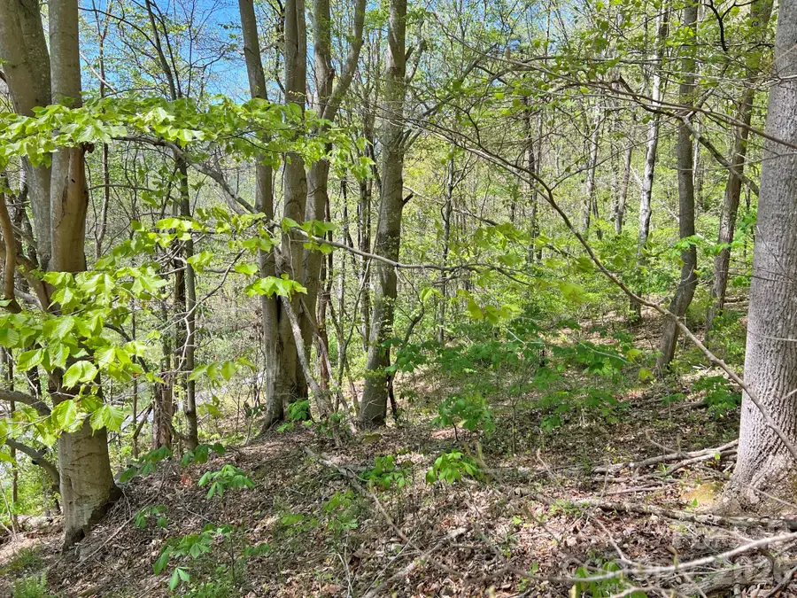 9999 Nc 209 Highway, Hot Springs, NC 28743 - #2