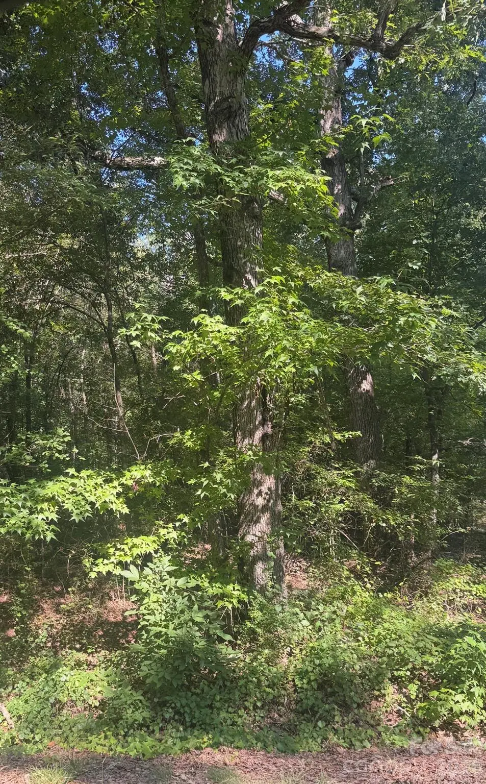 000 Sweet Home Church Road, Albemarle, NC 28001 - #1