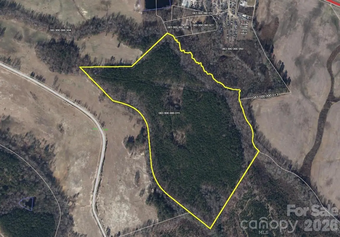 0000 Blair Hendrick Road, Mount Croghan, SC 29727 - #1