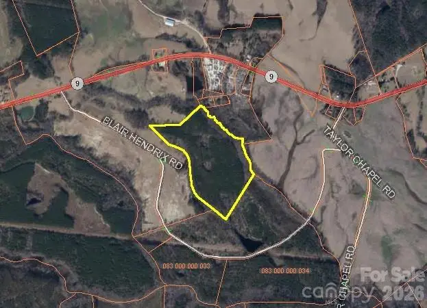 0000 Blair Hendrick Road, Mount Croghan, SC 29727 - #2