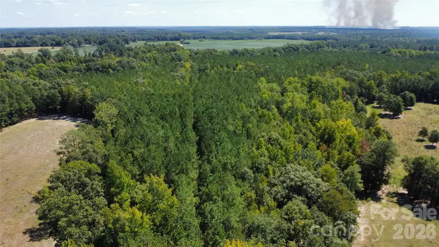 0000 Blair Hendrick Road, Mount Croghan, SC 29727 - #3