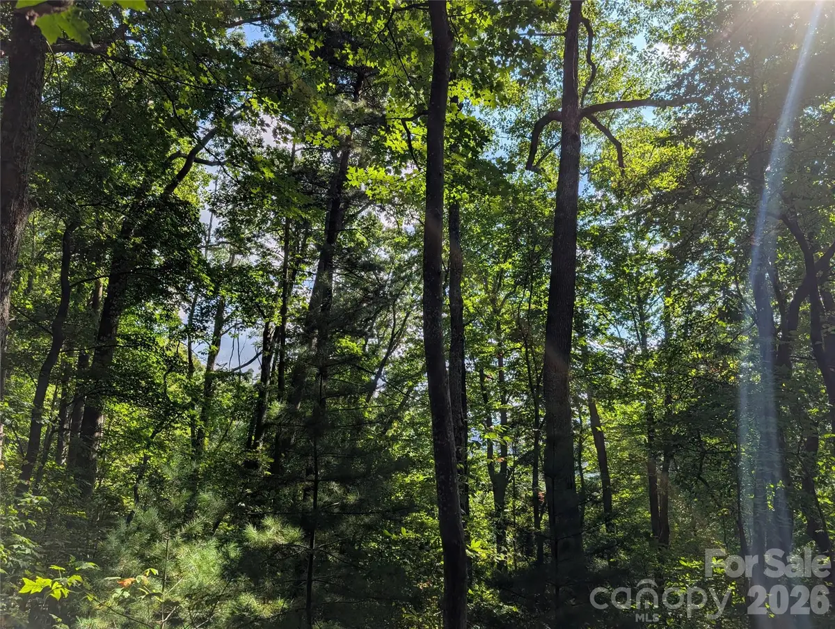 0 Raspberry None, Hot Springs, NC 28743 - #1