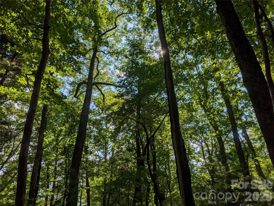 0 Raspberry None, Hot Springs, NC 28743 - #2